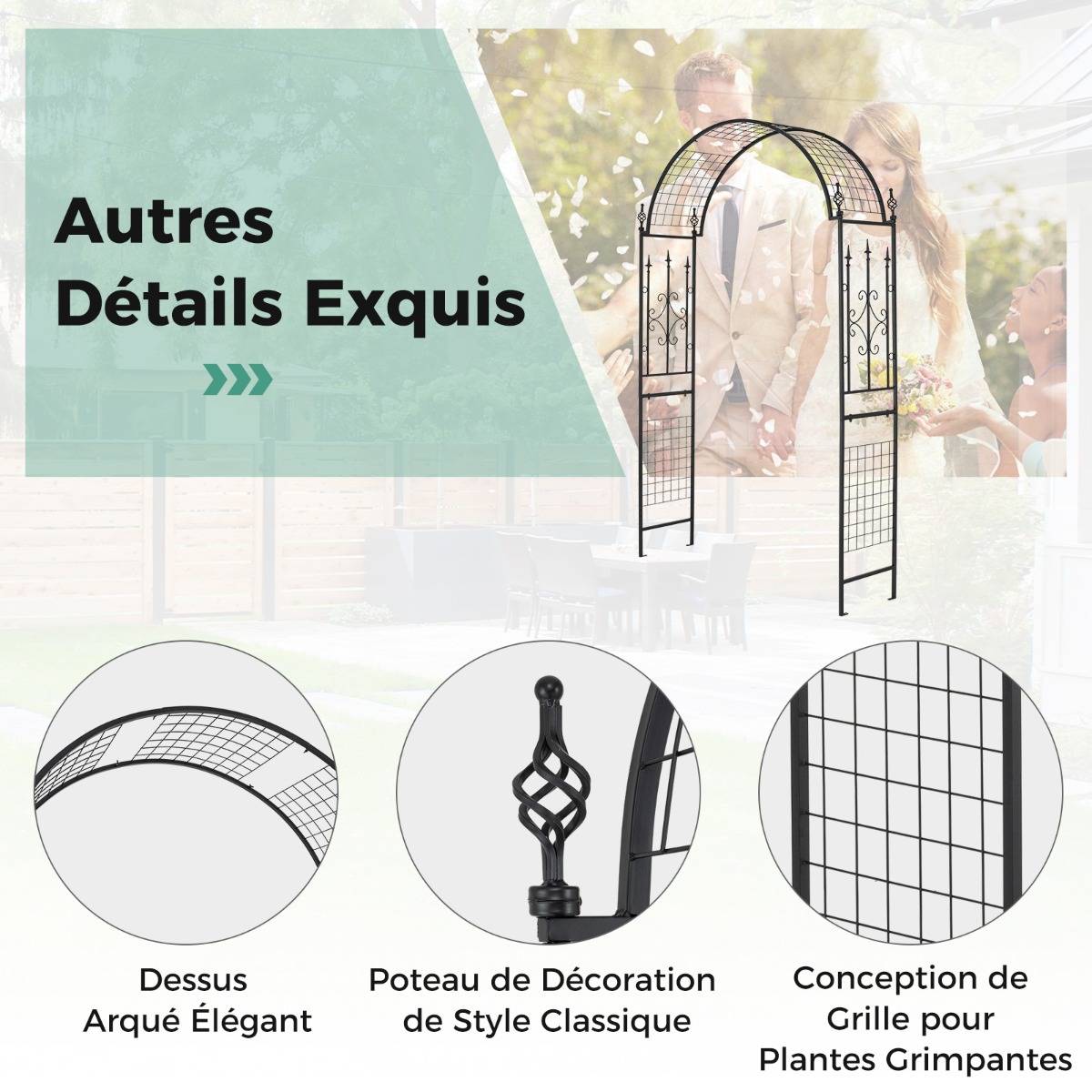 Arche de Jardin Treillis de Jardin Moderne en Métal pour Plantes Grimpantes avec Toit Élégant Décorative - 143 x 40 x 234 cm Noir - Image 6