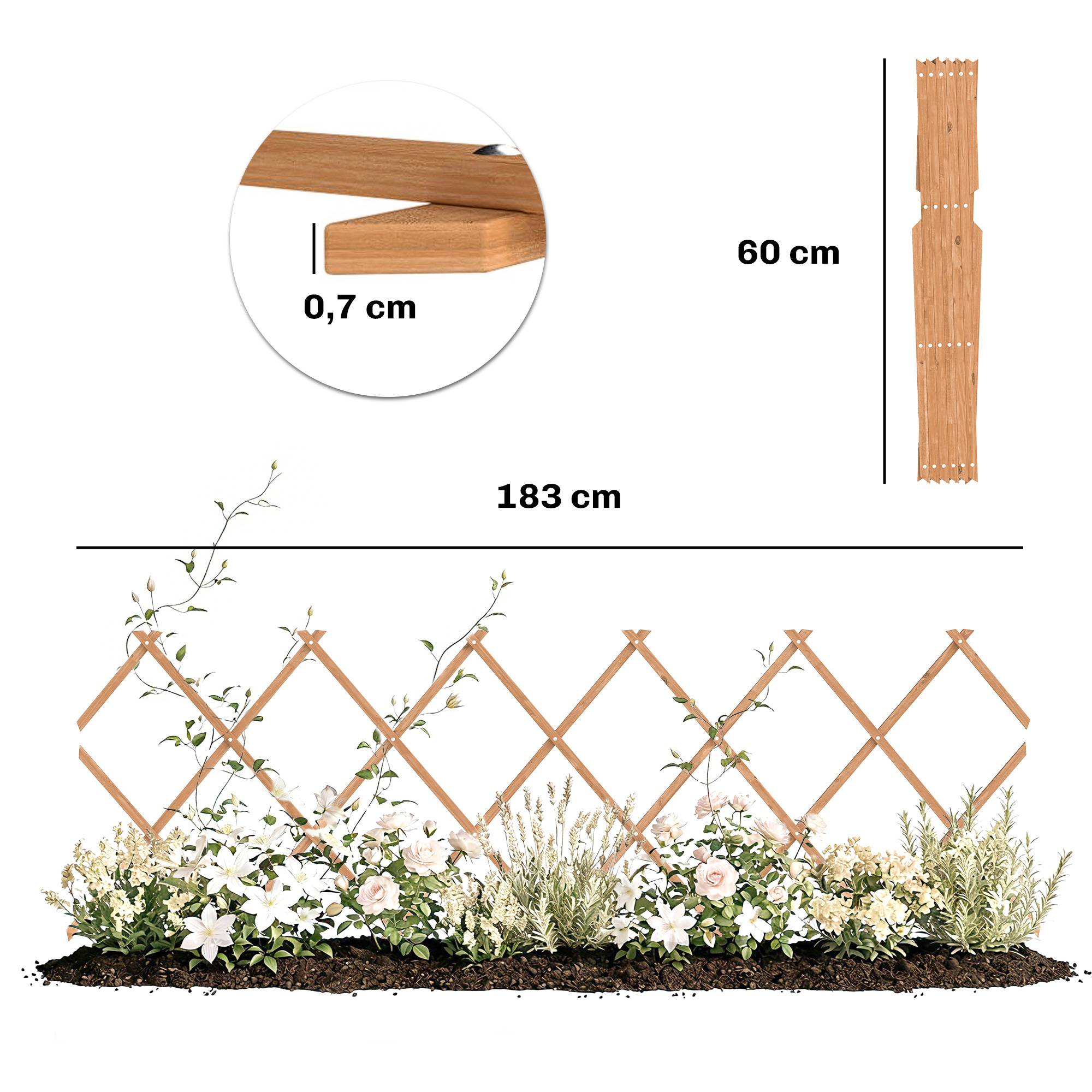 ComfortXL - Treillis de jardin extensible bois sapin support plantes grimpantes 180x60cm marron - ComfortXL Outdoor Living - Image 4