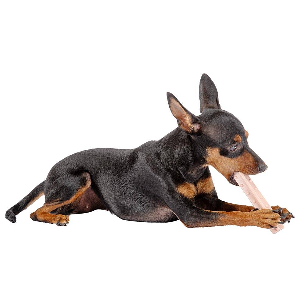 Ferplast - Ferplast GOODBITE NATURAL HELIX M jouet os à hélice pour l'hygiène dentaire, saveur de jambon, chien moyen-grande (7-25 Kg), naturel, 2 pièces de 23g - Imagen 4