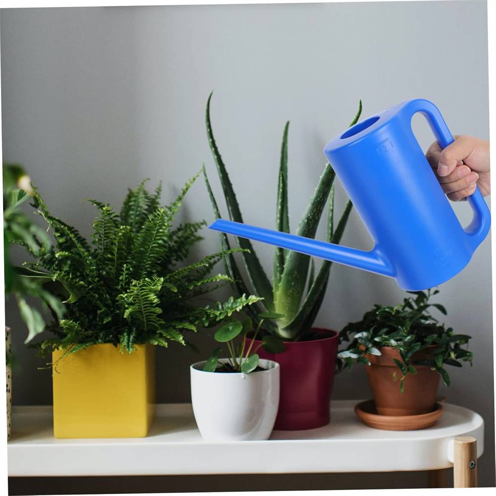 DtopbuyAge - Arrosoir pour plantes DtopbuyAge - Image 5