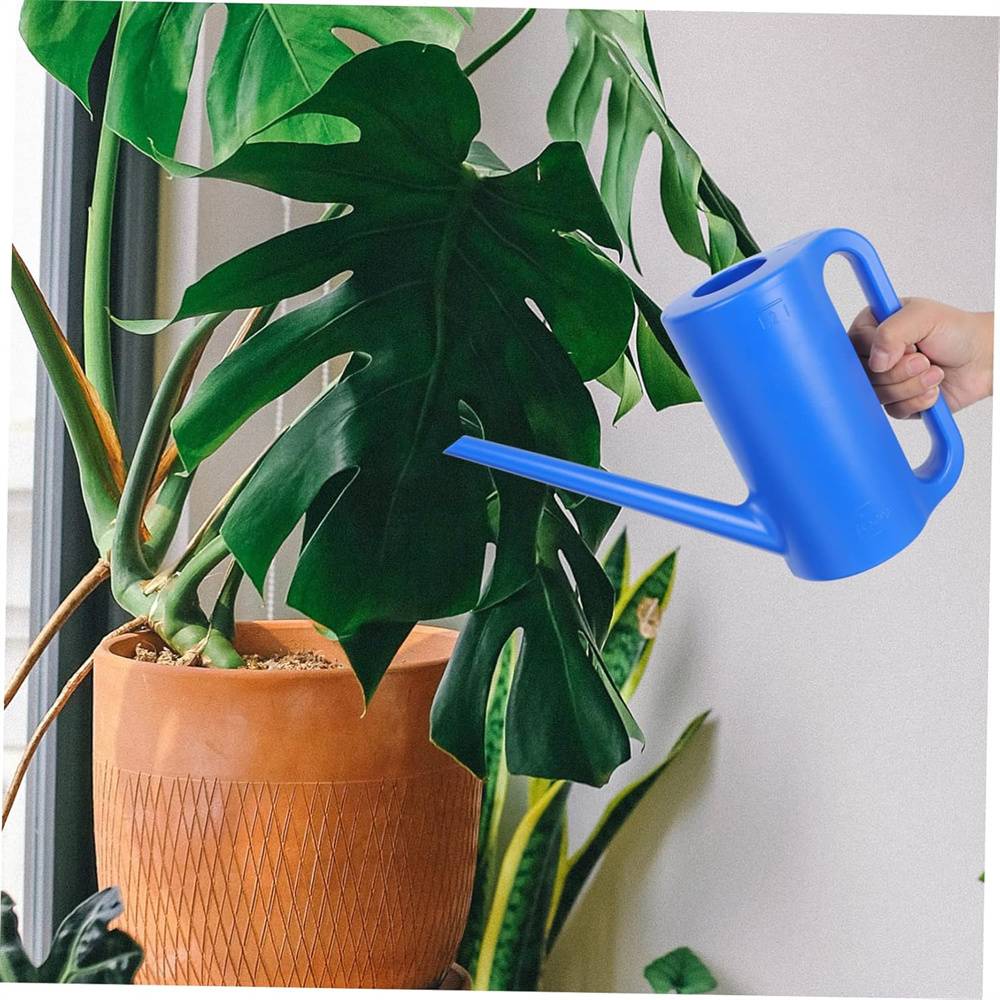 DtopbuyAge - Arrosoir pour plantes DtopbuyAge - Image 3