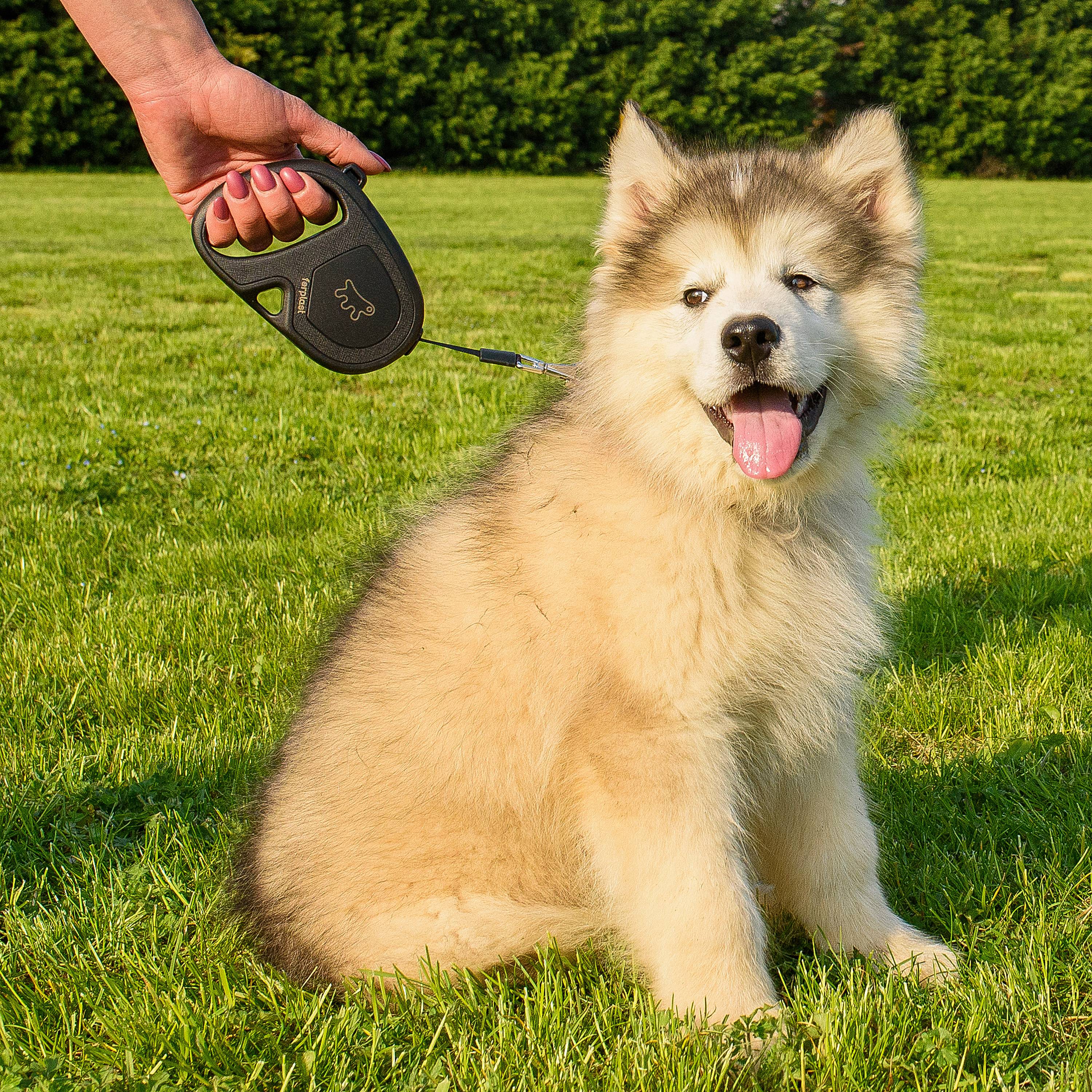 Ferplast - Ferplast Laisse Chien Enrouleur FLIPPY ONE, Laisse pour Petits Chiens jusqu'à 15 Kg. Sangle Extensible max 4 m. Bouton de verrouillage et de - Imagen 9
