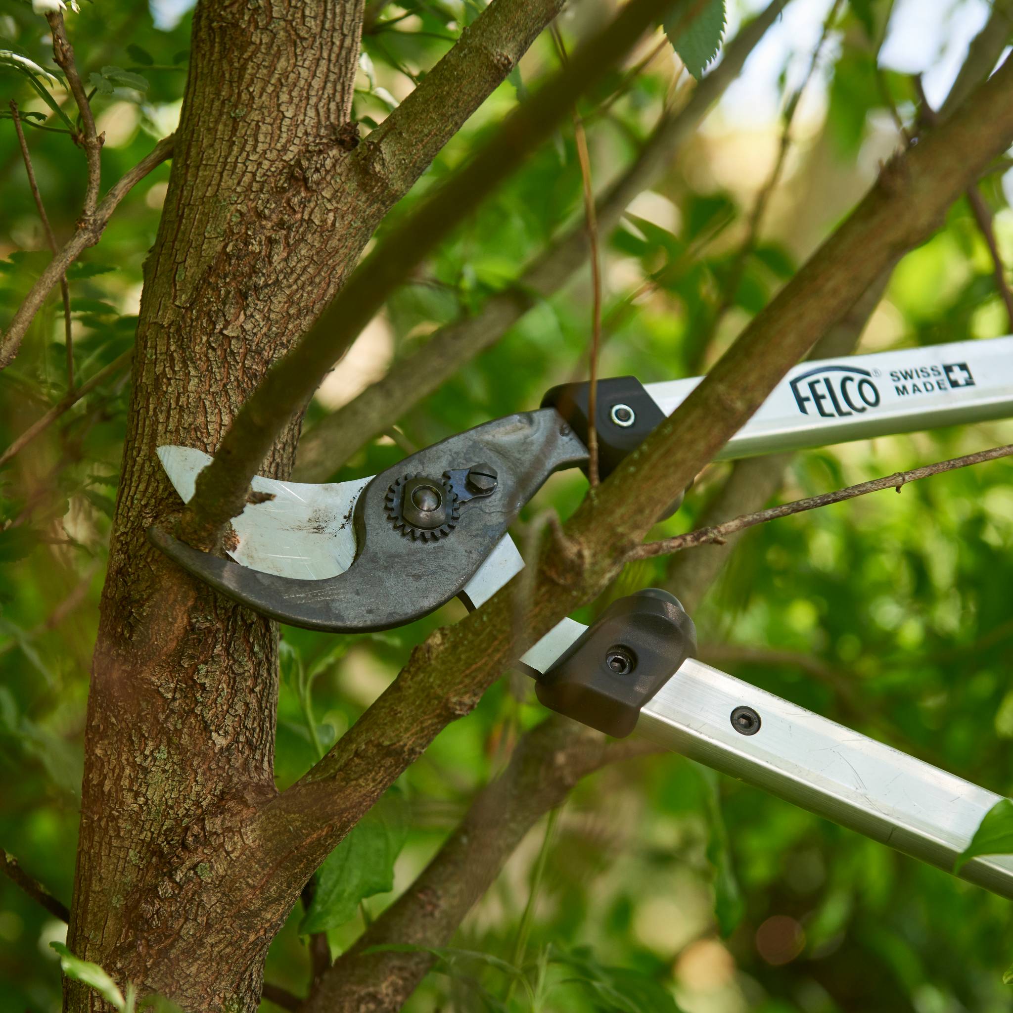 Felco - FELCO Elagueur n° 211-50 (Coupe Ø 35 mm, longueur 50 cm, tête de coupe tirante, poignées en aluminium, pour branches plus grandes) FELCO 211-50 - Image 4