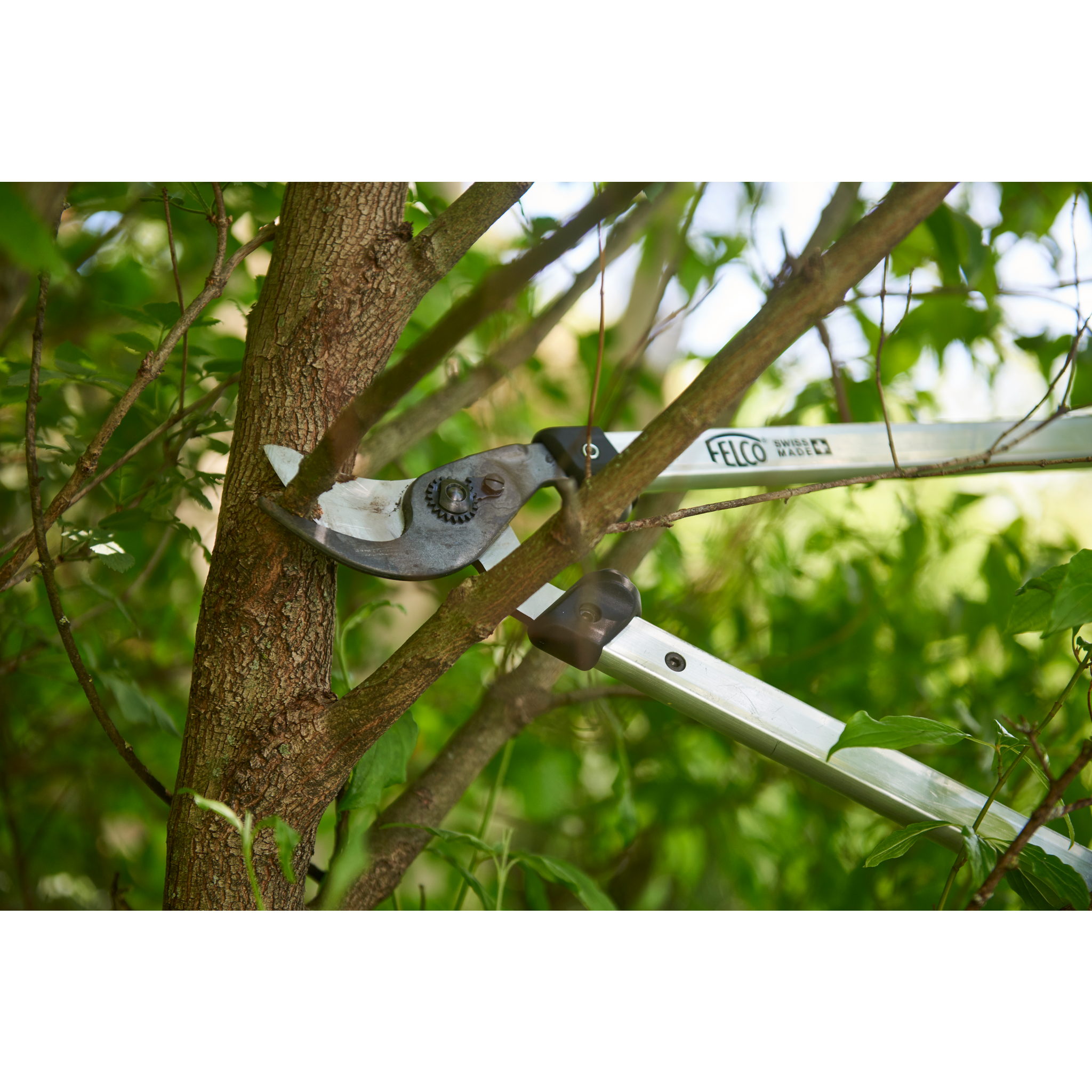Felco - FELCO Elagueur n° 211-50 (Coupe Ø 35 mm, longueur 50 cm, tête de coupe tirante, poignées en aluminium, pour branches plus grandes) FELCO 211-50 - Image 3
