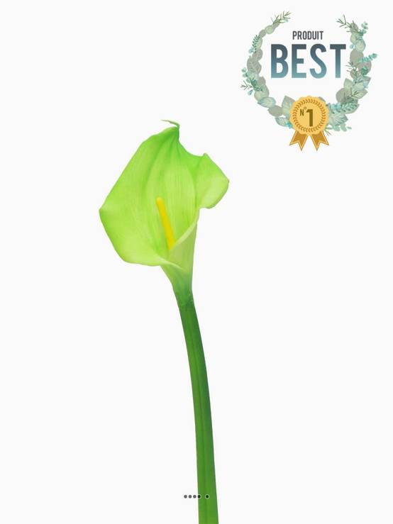 Arum calla artificiel, fleur touché réel, H 55 cm, Vert été - BEST - couleur: Vert été - Image 1