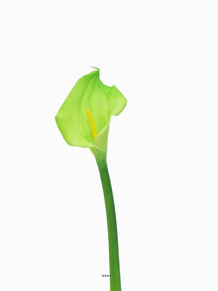 Arum calla artificiel, fleur touché réel, H 55 cm, Vert été - BEST - couleur: Vert été - Image 2