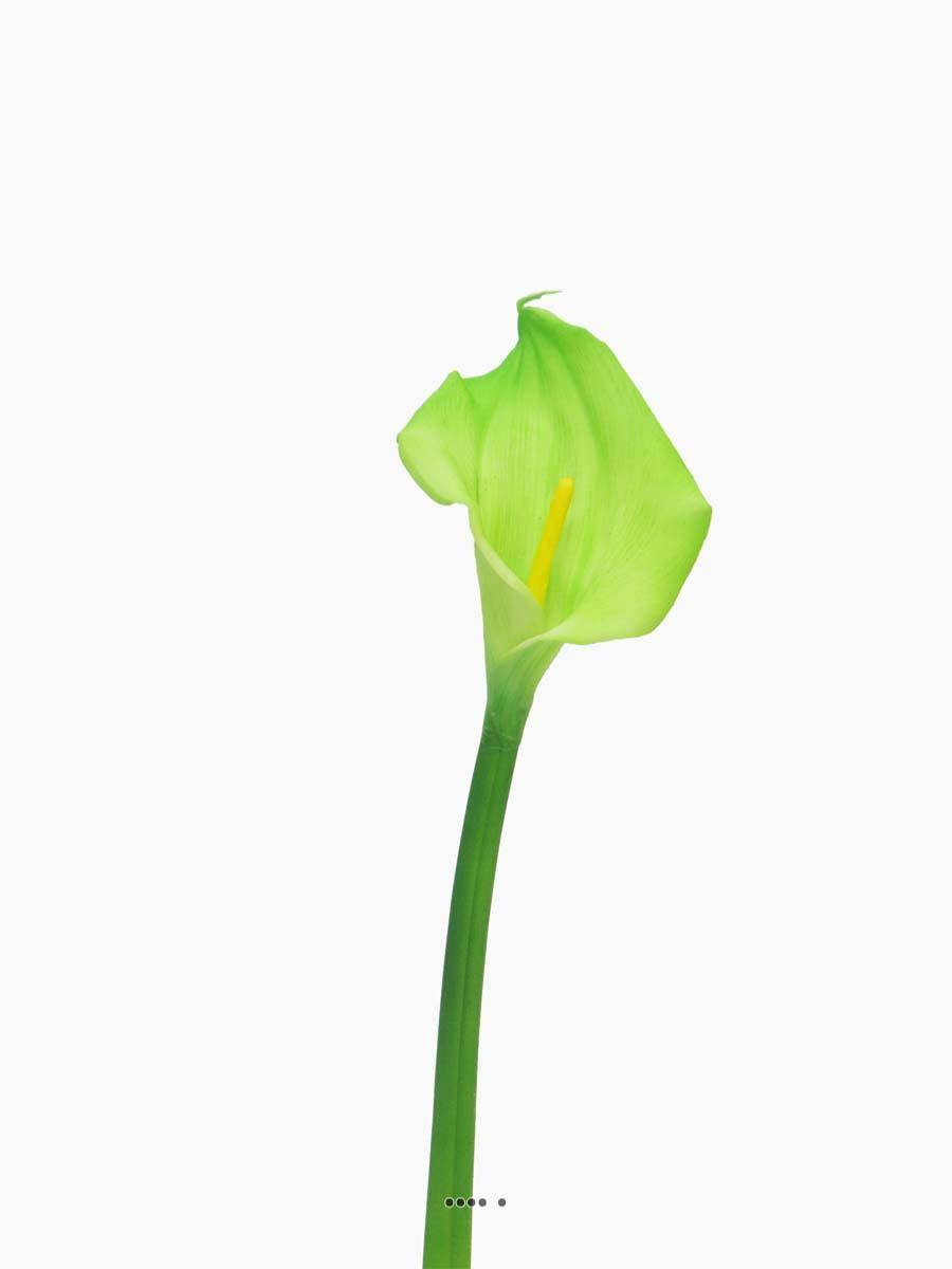 Arum calla artificiel, fleur touché réel, H 55 cm, Vert été - BEST - couleur: Vert été - Image 3