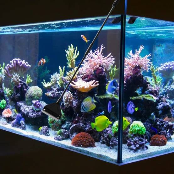 Nettoyeur pour Aquarium - Poignée 62cm DtopbuyAge - Image 4