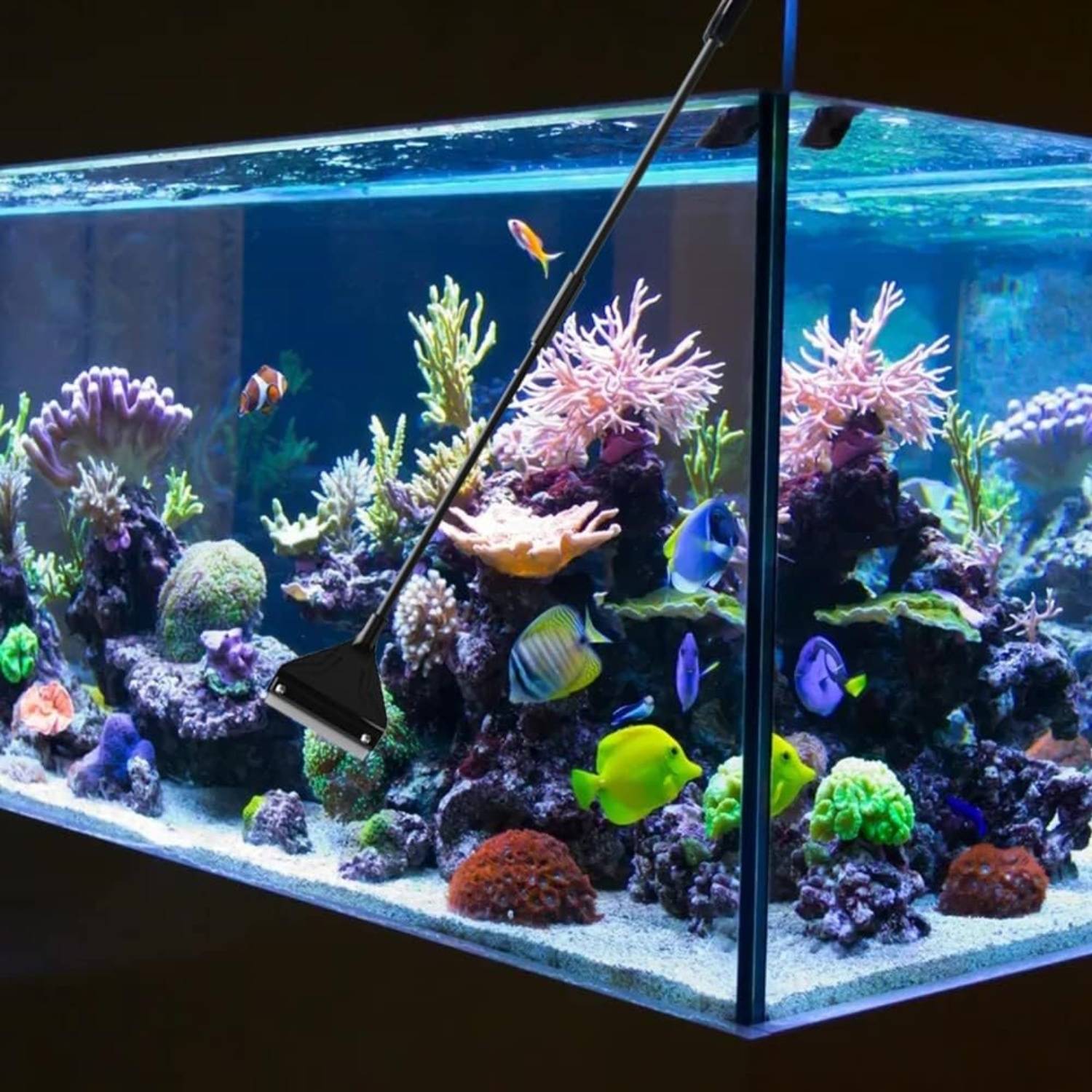Nettoyeur pour Aquarium - Poignée 62cm DtopbuyAge - Image 4
