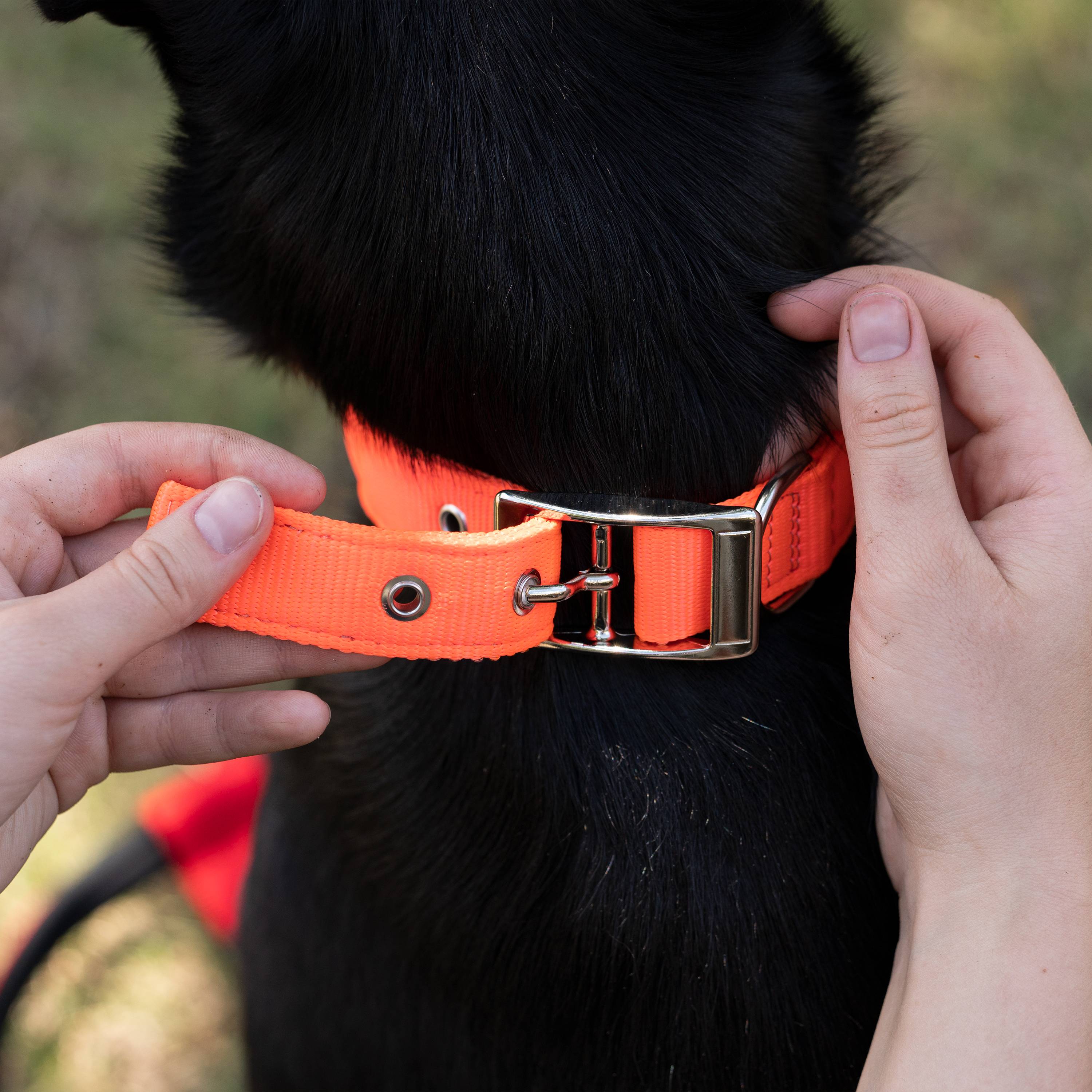 Ferplast - Collier chien chiens nylon souple rembourrage FERPLAST DAYTONA différentes tailles et couleurs - Imagen 5