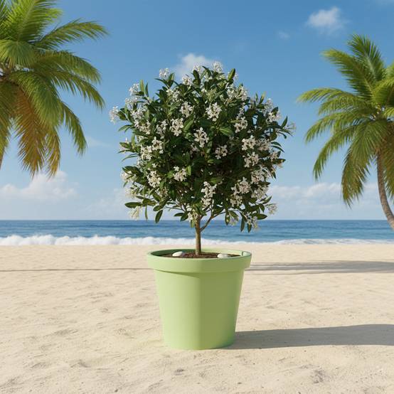 Pot de fleurs 200l delight - plast'up rotomoulage - Image 3