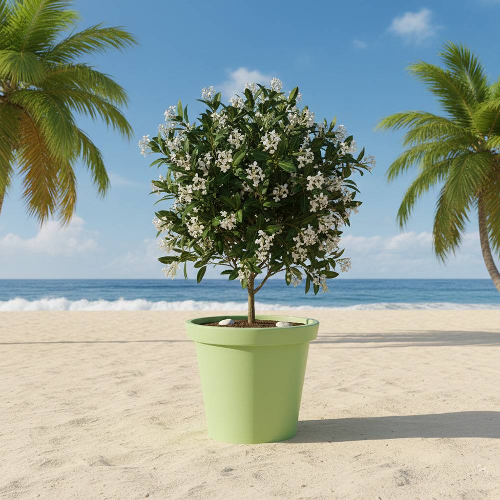 Pot de fleurs 200l delight - plast'up rotomoulage - Image 3