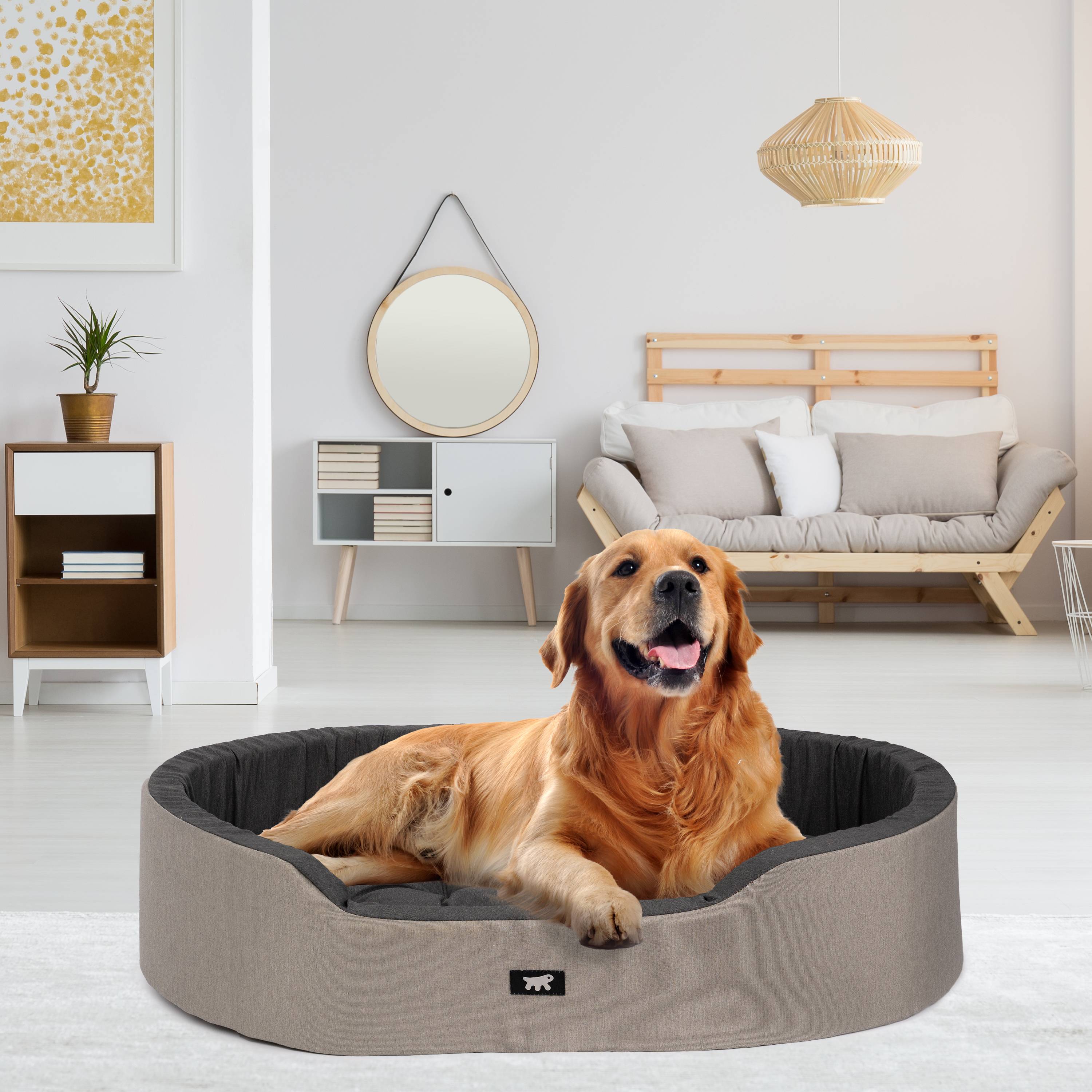Ferplast - Ferplast Panier Chien Dandy, Coussin Amovible et Lavable, Housse en Coton avec Rembourrage Doux, Lit pour Chiens de Grande Taille, 110 x 70 x H 23 cm, - Imagen 3