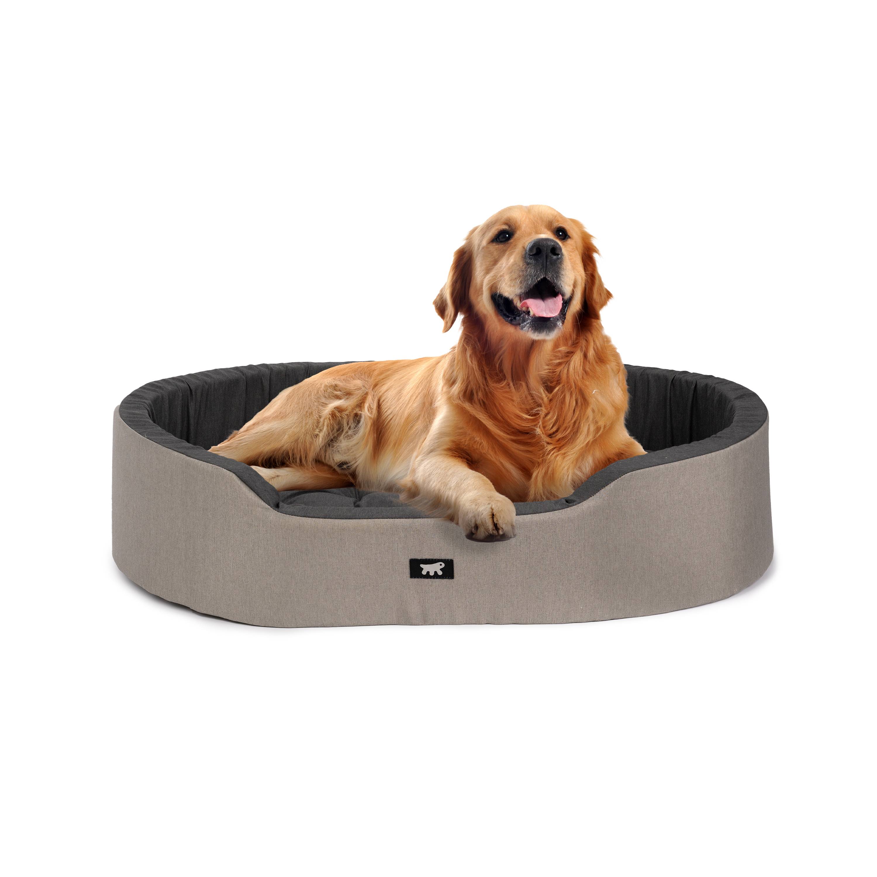Ferplast - Ferplast Panier Chien Dandy, Coussin Amovible et Lavable, Housse en Coton avec Rembourrage Doux, Lit pour Chiens de Grande Taille, 110 x 70 x H 23 cm, - Imagen 4