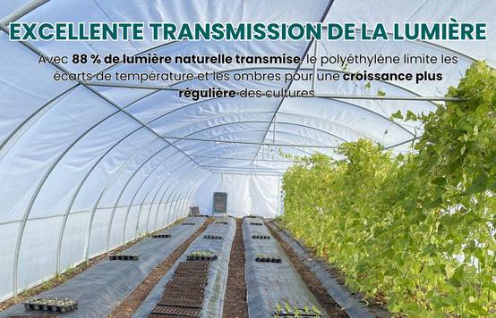 Bâche transparente à la coupe pour serre - polyéthylène 200µ - 2,5 m x 8 m - LES SERRES TONNEAU - Image 6