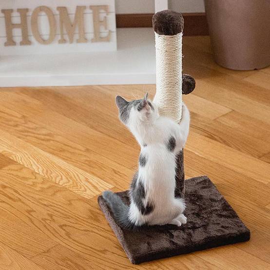 Ferplast - Griffoir Chat PA 4014 avec Colonne en Sisal et Balle de Jeu - Imagen 3