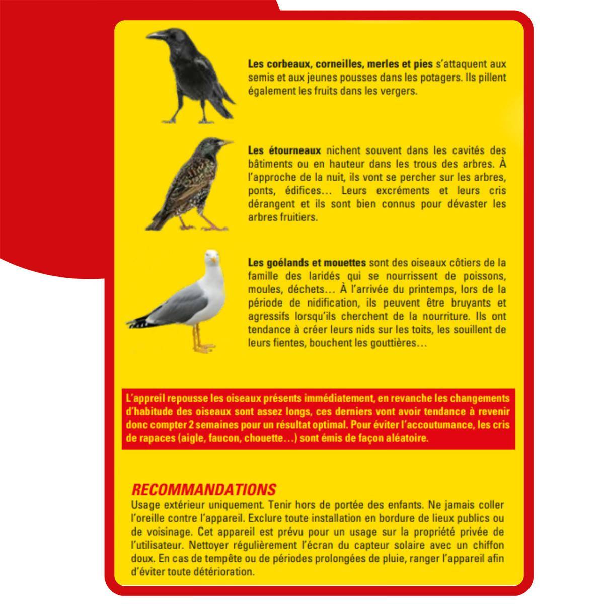 Acto - Répulsif sonore TOUS OISEAUX - Gardez les Nuisibles à Distance - Imagen 7