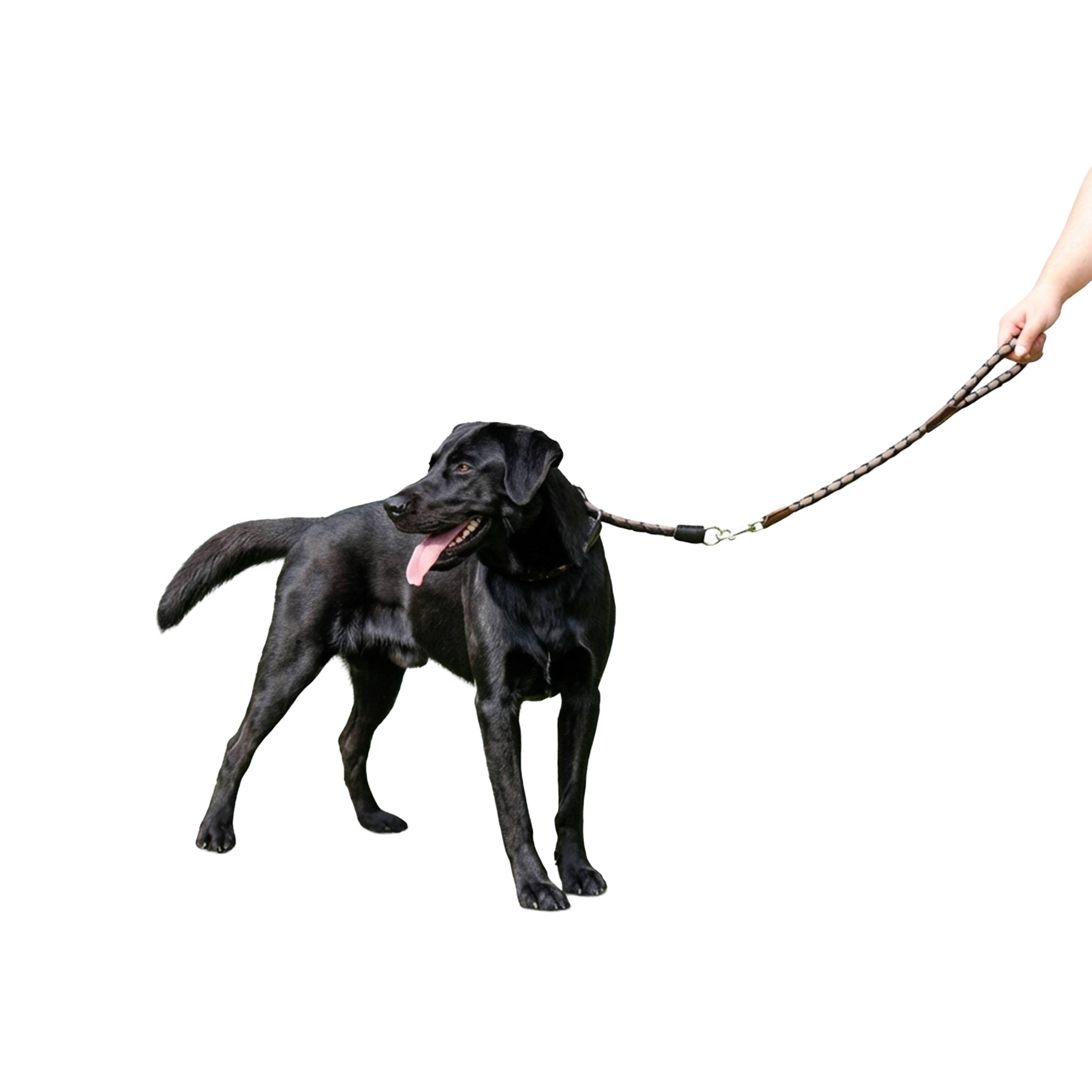Ferplast - Laisse Courte pour Chiens en Nylon tressé TWIST MATIC GM18/60, avec Mousqueton Magnétique Automatique - Imagen 4