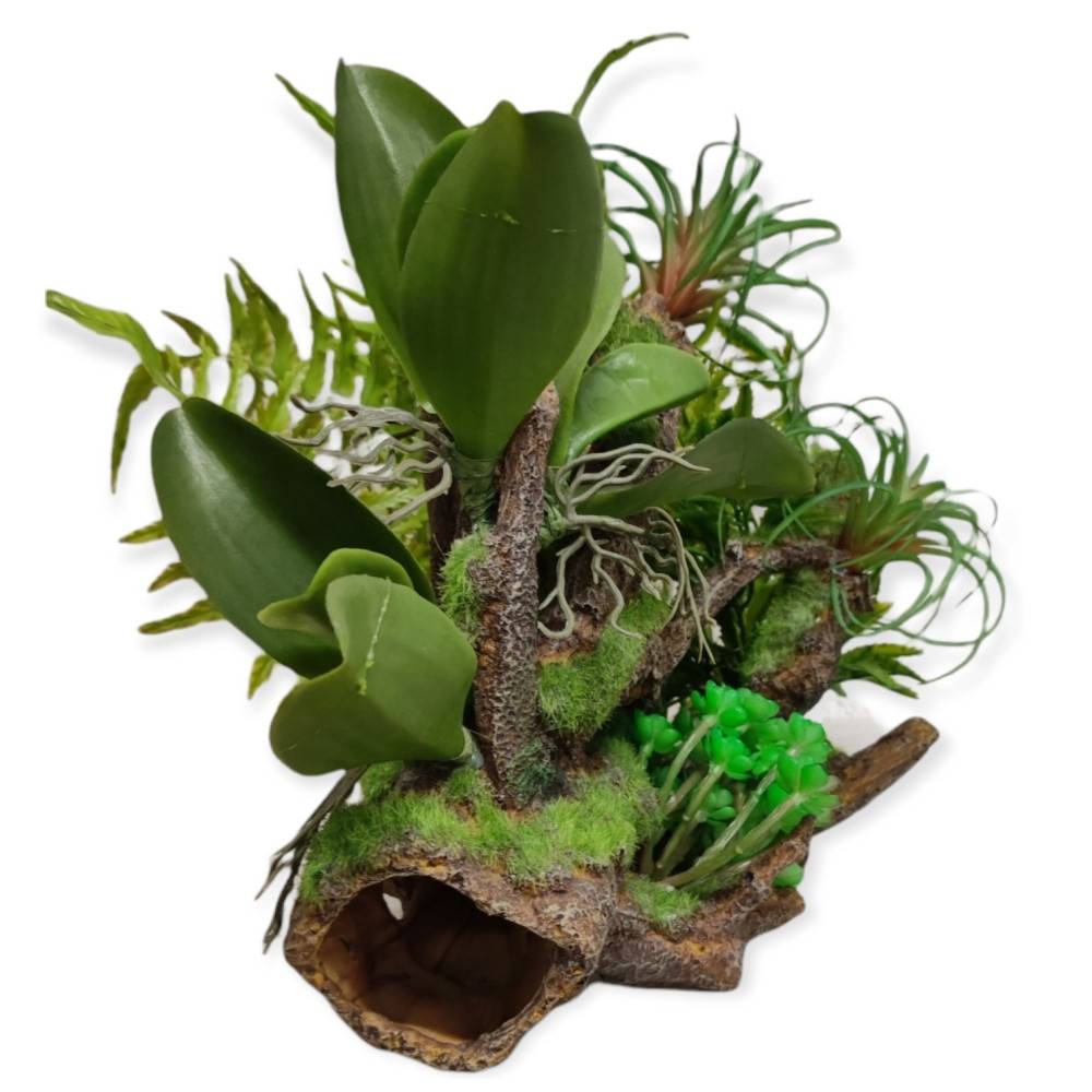 Racine et plantes, 36 x 31 x 33 cm, décoration aquarium. - Image 2