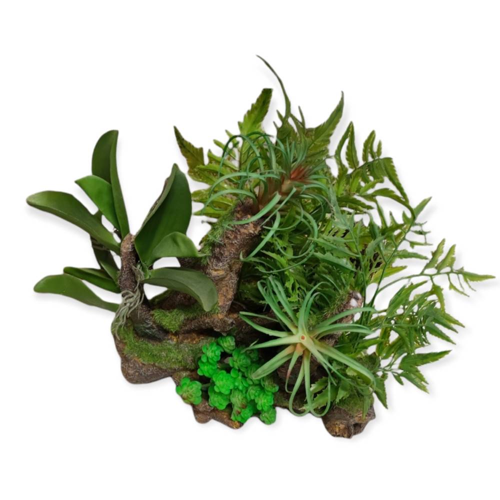 Racine et plantes, 36 x 31 x 33 cm, décoration aquarium. - Image 5