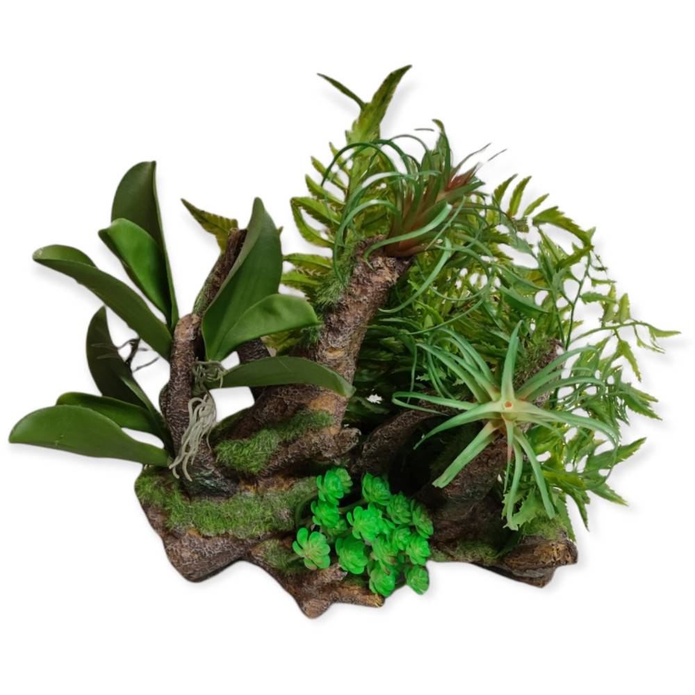 Racine et plantes, 36 x 31 x 33 cm, décoration aquarium. - Image 6