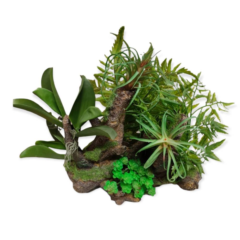 Racine et plantes, 36 x 31 x 33 cm, décoration aquarium. - Image 1