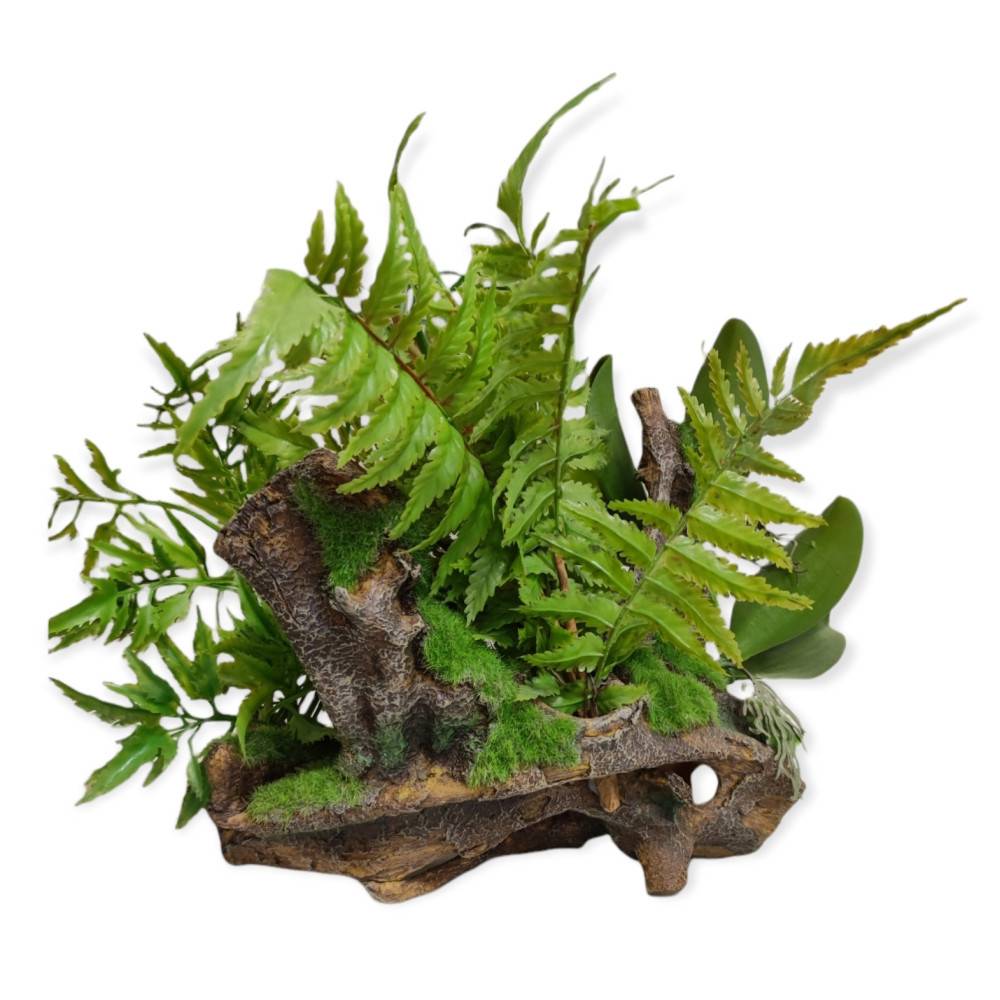 Racine et plantes, 36 x 31 x 33 cm, décoration aquarium. - Imagen 3