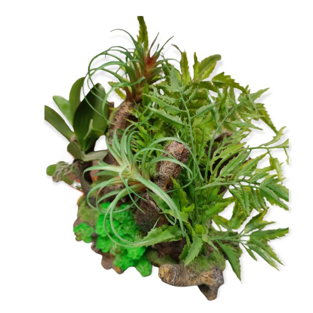 Racine et plantes, 36 x 31 x 33 cm, décoration aquarium. - Imagen 7