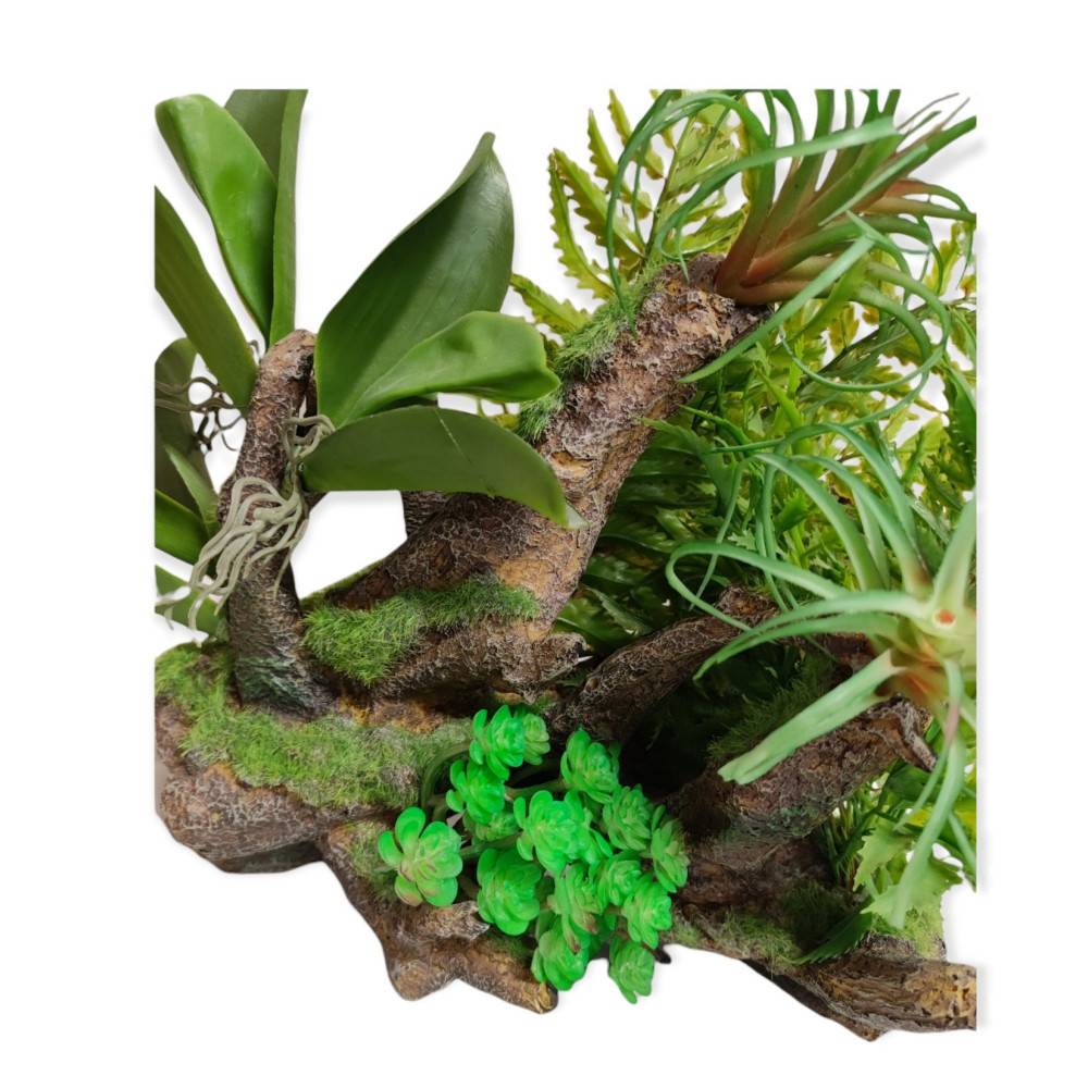 Racine et plantes, 36 x 31 x 33 cm, décoration aquarium. - Imagen 4