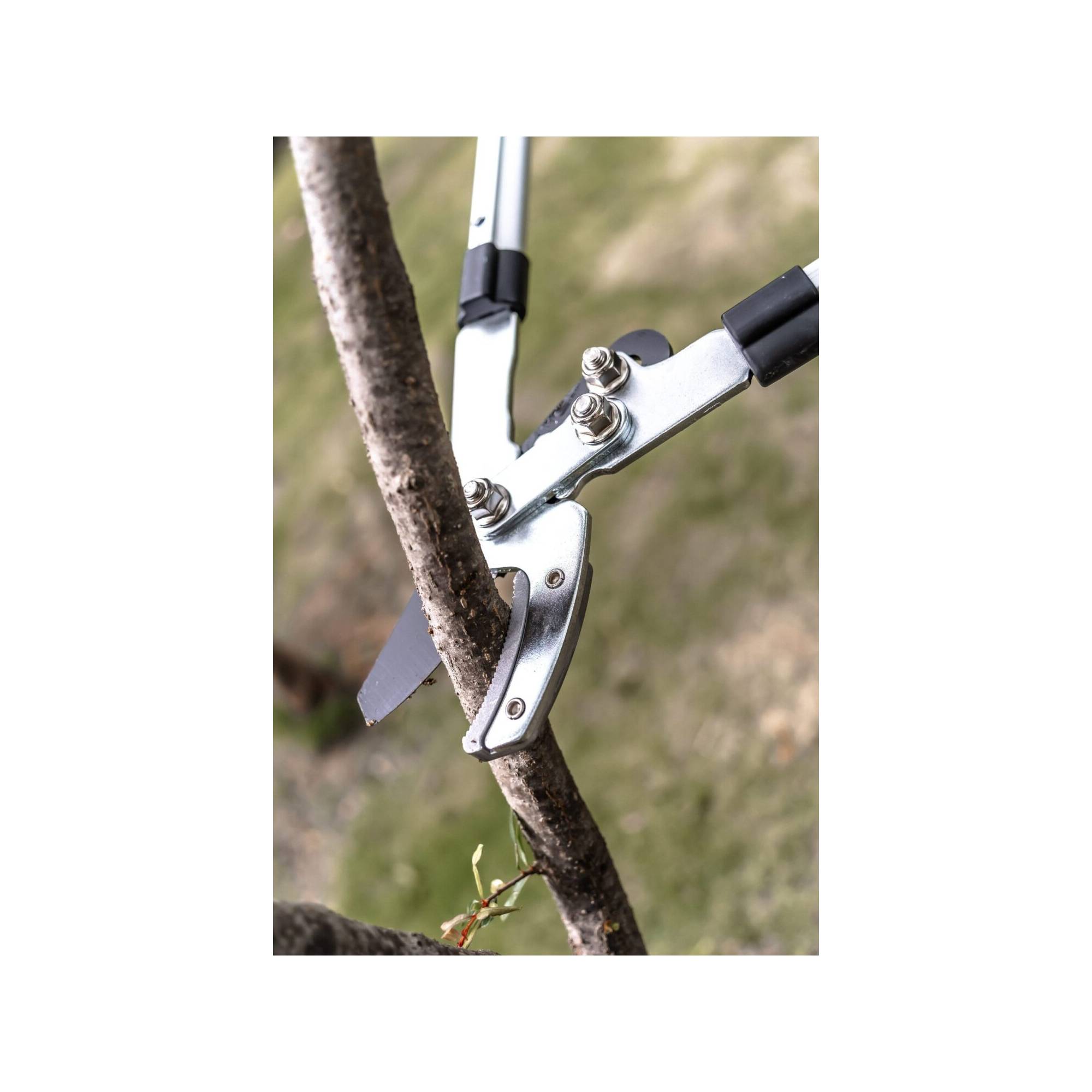 Coupe branche lame enclume - Suan - Manche télescopique - Dimensions : 88,5 x 30,5 x 3 cm - Imagen 2