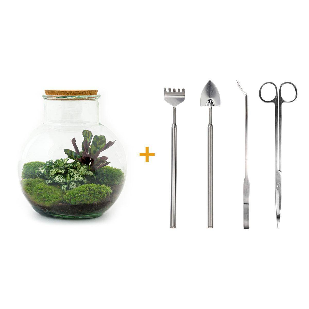 Diy Terrarium - D27 H27cm - Image 1