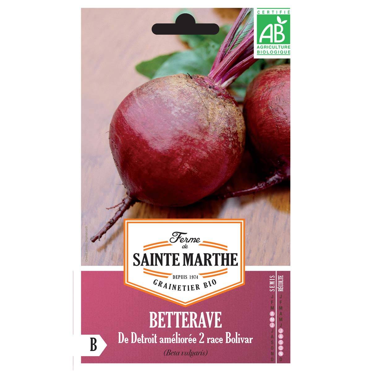 Betterave rouge de Detroit Améliorée 2 race Bolivar Bio- Ferme de Sainte Marthe le sachet de 80 graines environ (1.5g)
