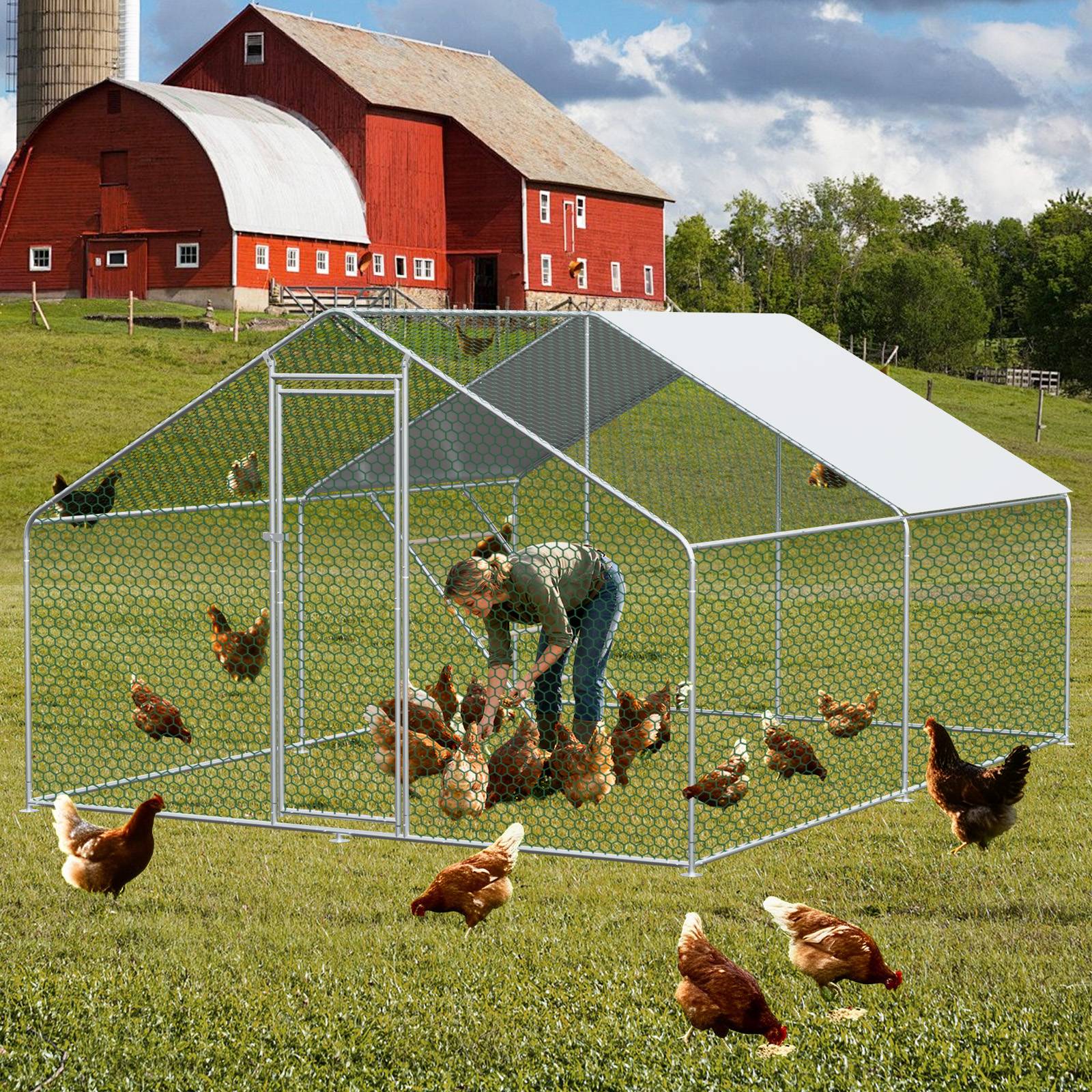 PANGIVO - Enclos pour poules métal argenté 300 x 400 x 200 cm - PANGIVO - Image 2
