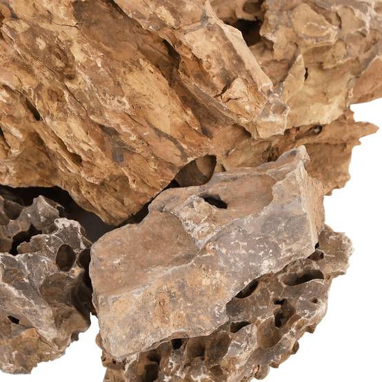 Pierres du Dragon pour Aquarium Décoration Aquascaping Naturel 25 kg 5-30 cm Marron - ComfortXL Outdoor Living - Image 5