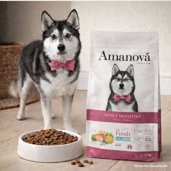 Croquettes Chien Sans Céréales Amanova Peau Sensible Saumon 10 kg - Image 2