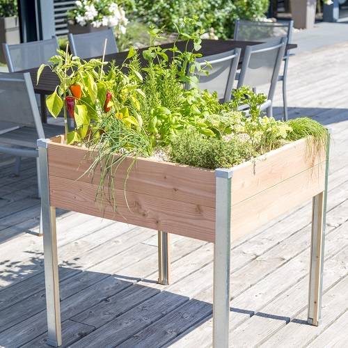 Mon Petit Potager - Bac potager sur pieds Design - Bois Douglas non traité - 80 x 75 x H80cm - mon PETIT POTAGER - Image 2