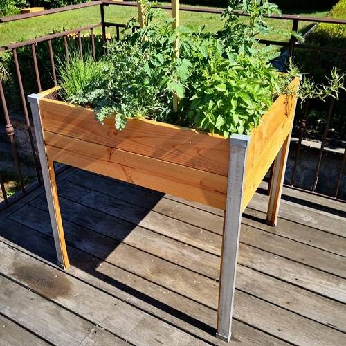 Mon Petit Potager - Bac potager sur pieds Design - Bois Douglas non traité - 80 x 75 x H80cm - mon PETIT POTAGER - Image 3
