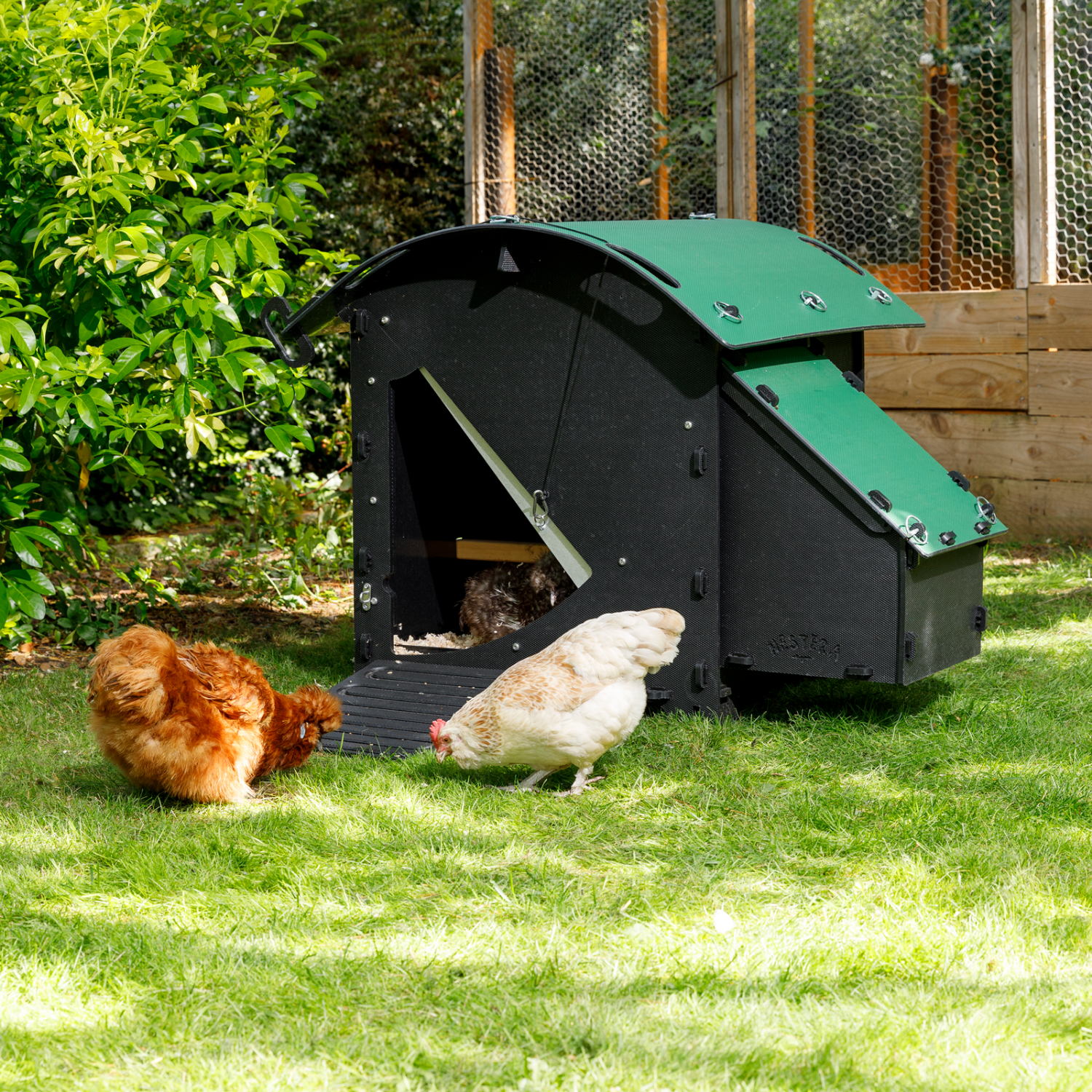 Poulailler au sol Nestera The House – 3 poules – plastique recyclé anti poux rouges – garanti 25 ans