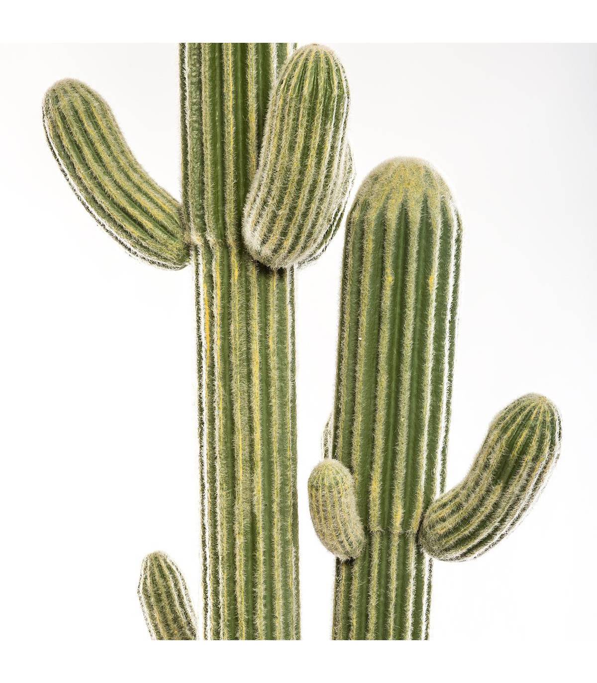 Plante artificielle  Cactus 3 Troncs dans son pot  H 203 cm - Imagen 2