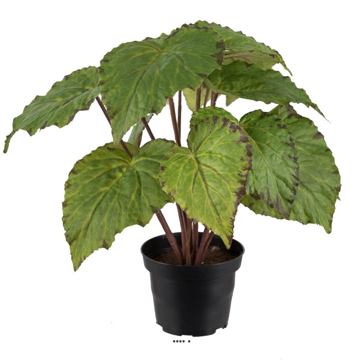 Artificielles - Bégonia royal artificiel en pot, H 30 cm D 25 cm Vert - couleur: Vert - Imagen 1