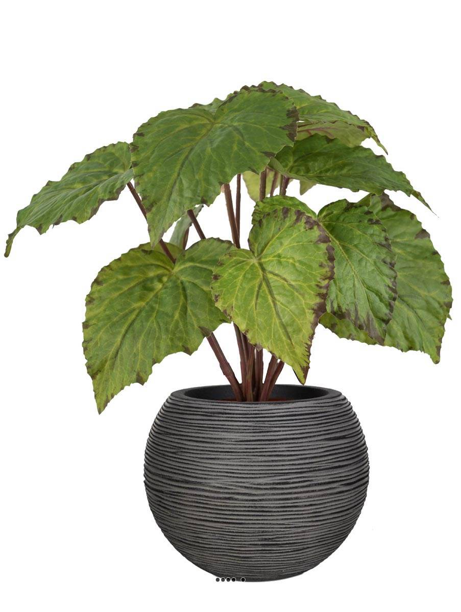 Artificielles - Bégonia royal artificiel en pot, H 30 cm D 25 cm Vert - couleur: Vert - Imagen 2