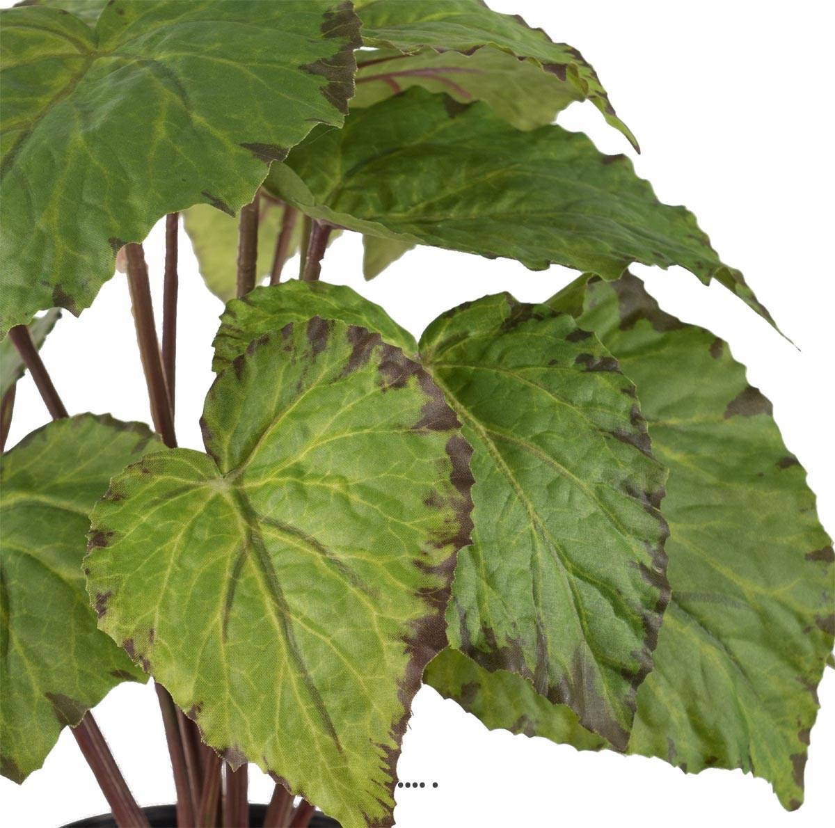 Artificielles - Bégonia royal artificiel en pot, H 30 cm D 25 cm Vert - couleur: Vert - Imagen 3