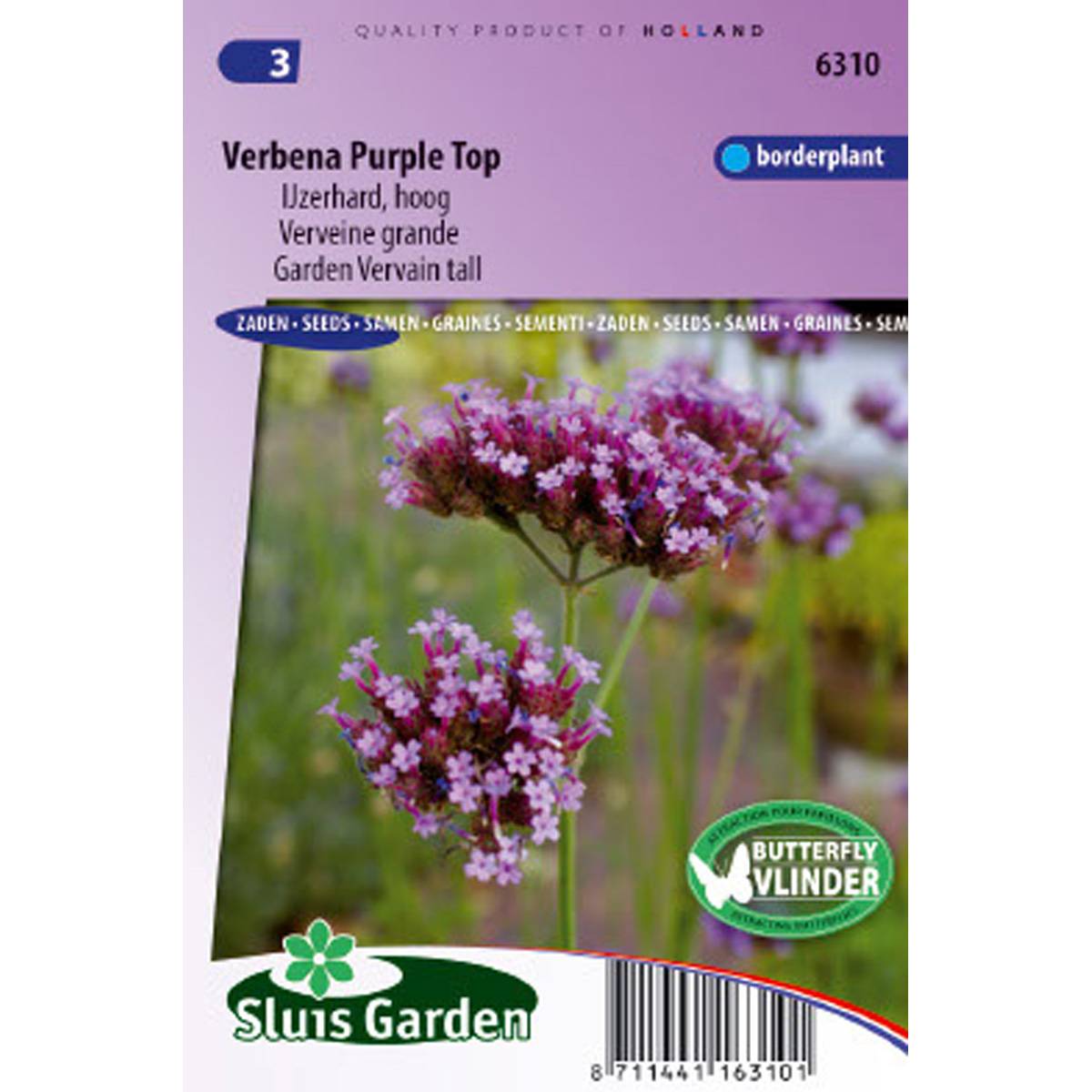 Graines de Verveine de Bueno-Aires Purple Top - Verbena bonariensis le sachet de 2700 graines environ (0,8g)