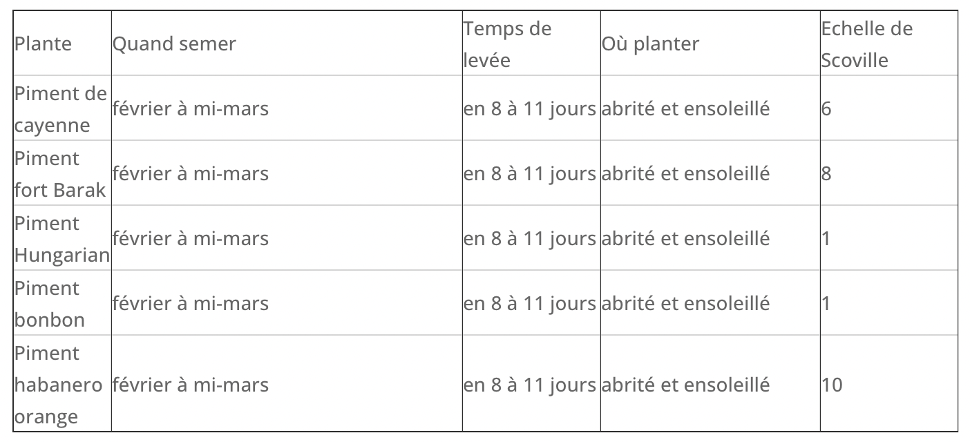 Kit Prêt à Pousser Piment (Piment de cayenne, Piment fort barak) - CULTIVEA® - Image 3