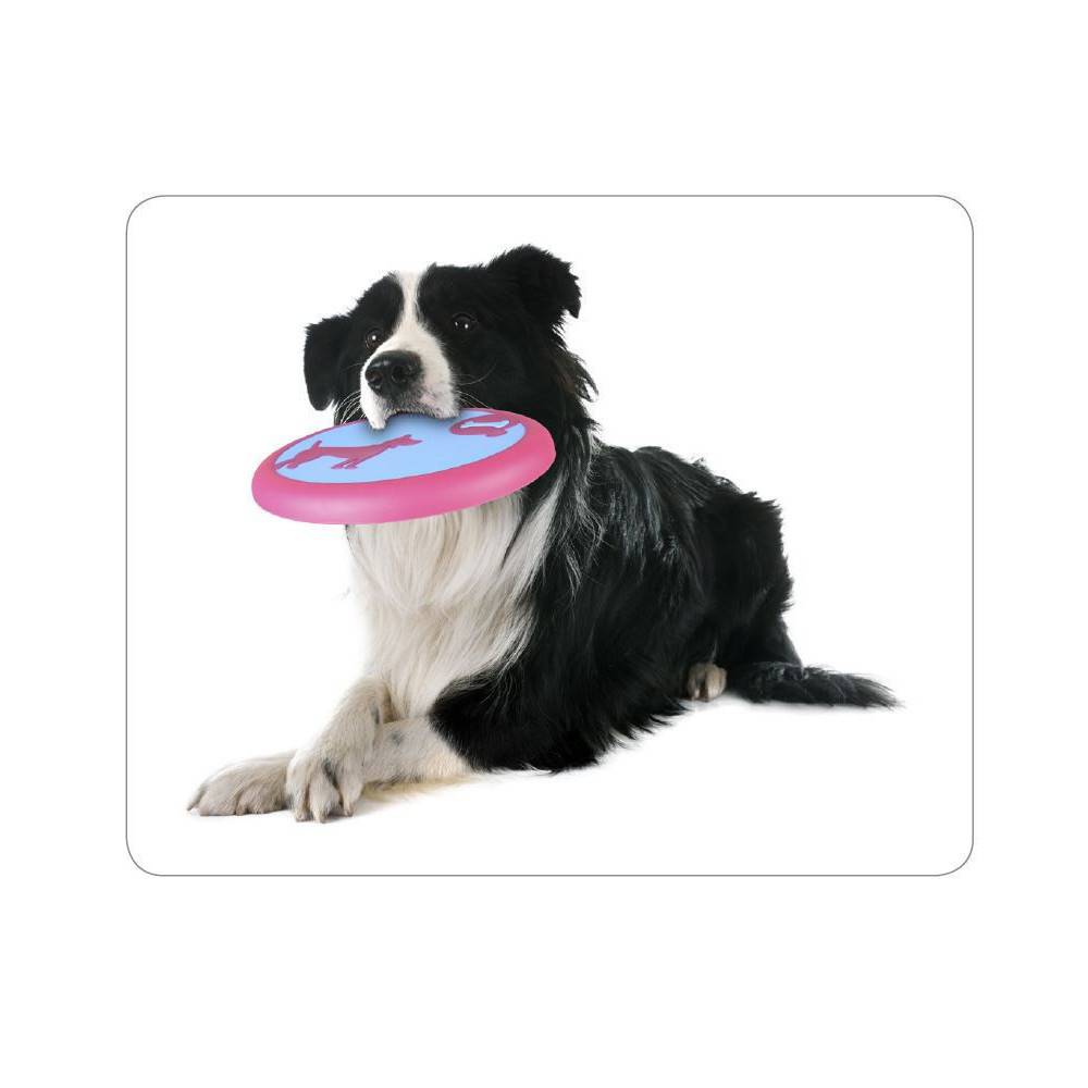 Flamingo - Disque Volant AMELIA ø 22 cm jouet pour chien - Imagen 2