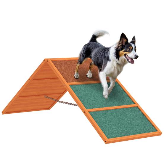 Rampe d'agilité pour chien bois de sapin orange et vert 173 x 59 x 66 cm - PANGIVO - Image 1