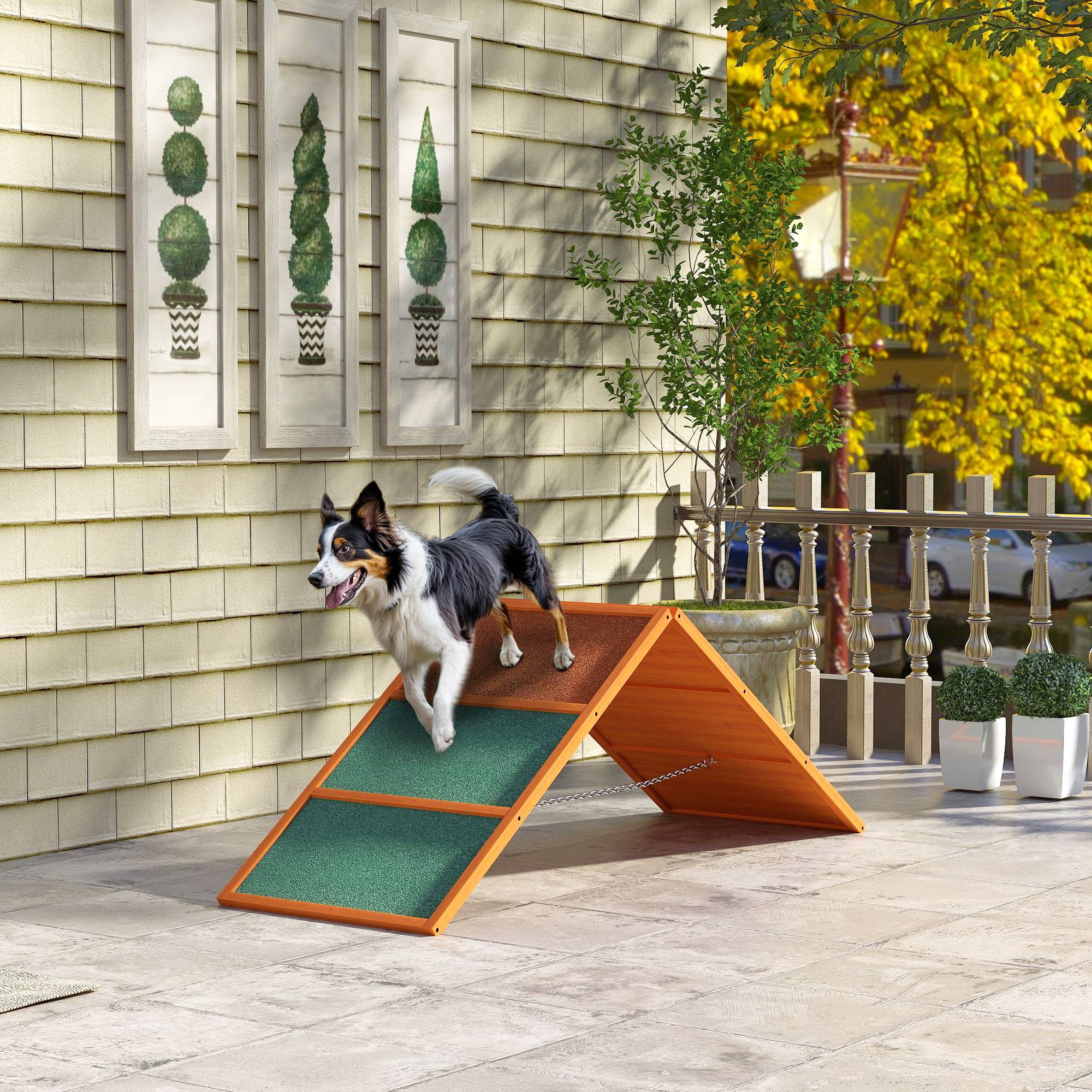 Rampe d'agilité pour chien bois de sapin orange et vert 173 x 59 x 66 cm - PANGIVO - Image 4