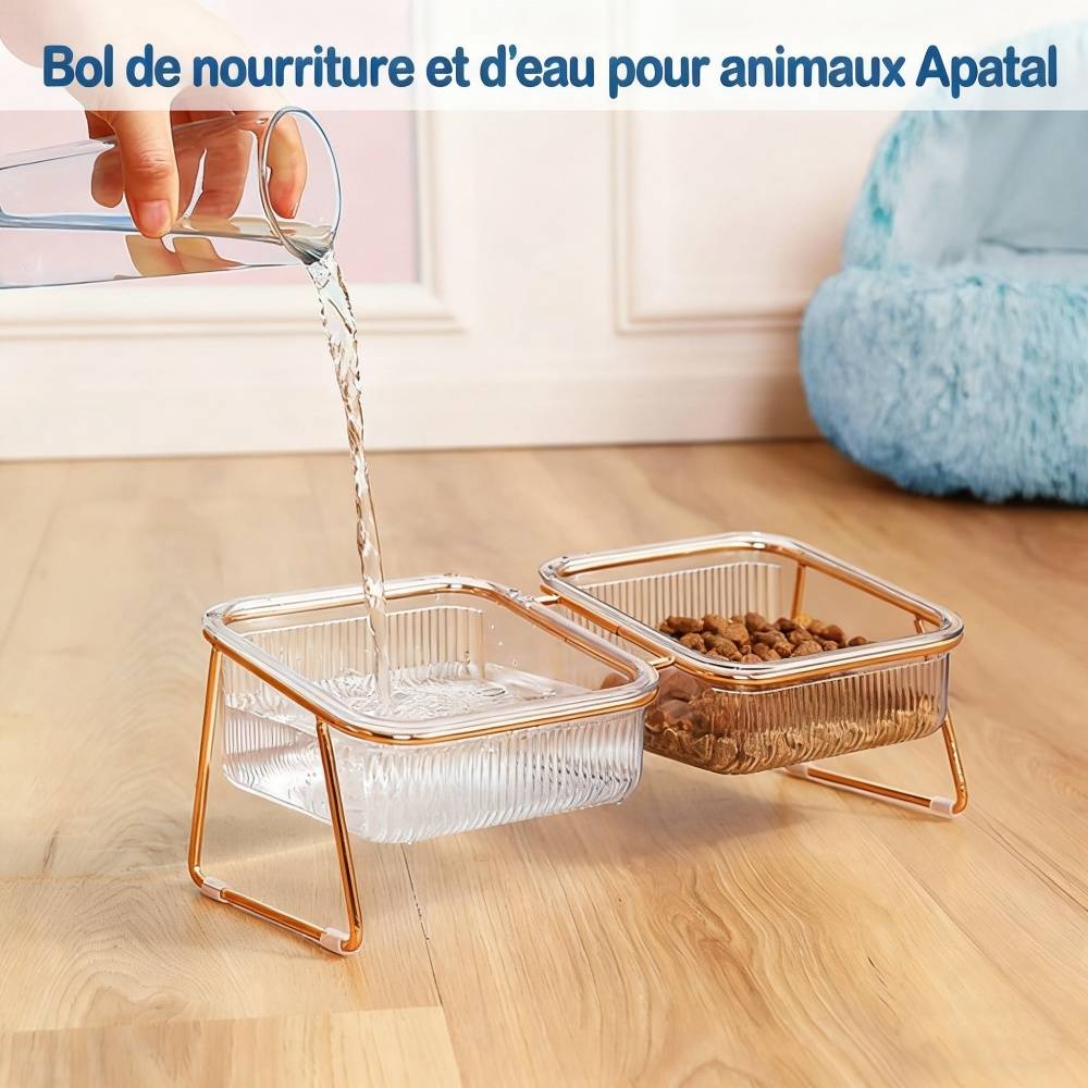 DtopbuyAge - Gamelles surélevées pour chats et chiots DtopbuyAge - Image 2