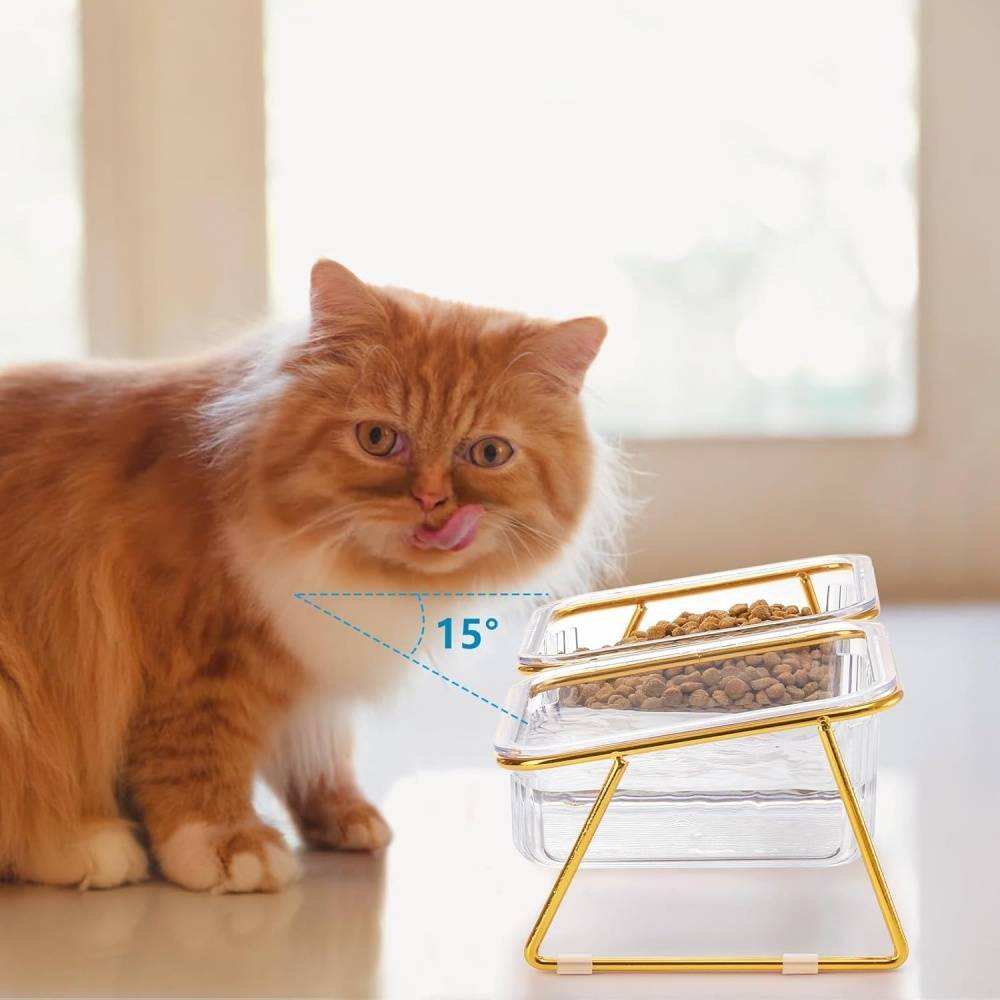 DtopbuyAge - Gamelles surélevées pour chats et chiots DtopbuyAge - Image 3
