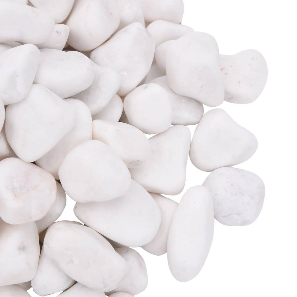 Vidaxl - Galets polis 10 kg blanc 2-5 cm vidaXL 155329 - Image 3
